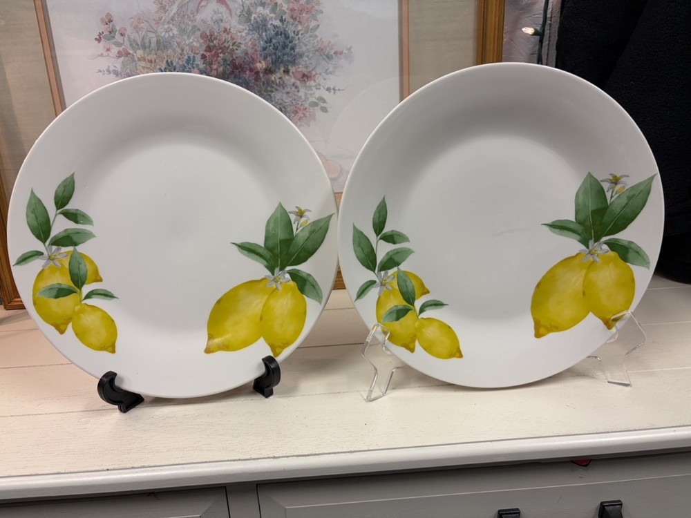 Set Of 2 Royal Norfolk Lemon Dinner Plates White/Yellow 10.5” Stoneware