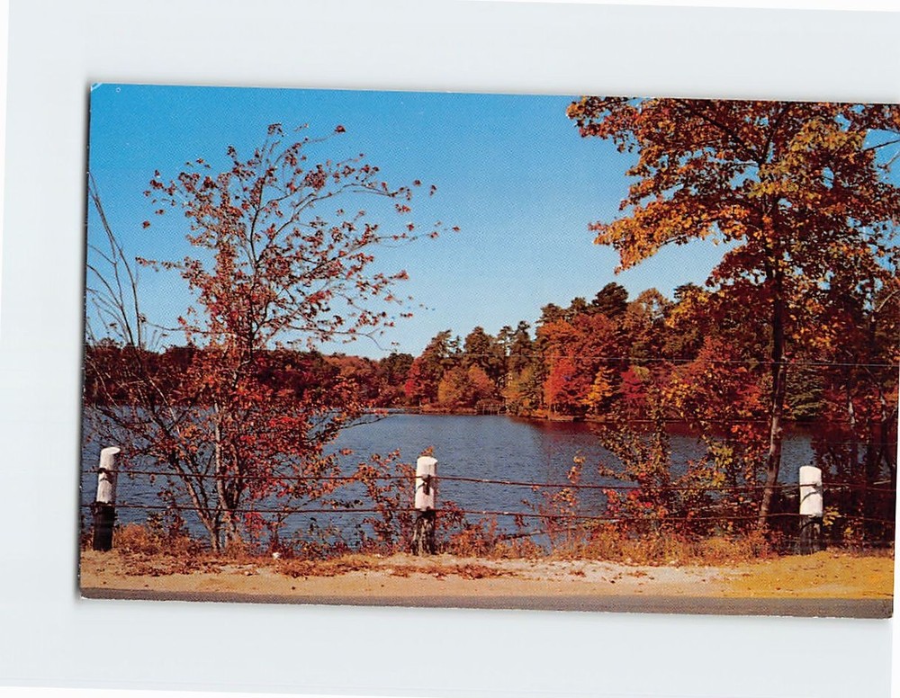 Postcard An Autumn scene of Little Pine Lake Browns Mills New Jersey USA
