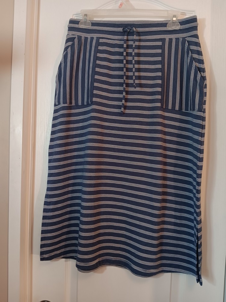 Talbots Women's Blue/White Striped A-line  Skirt, Size Mp