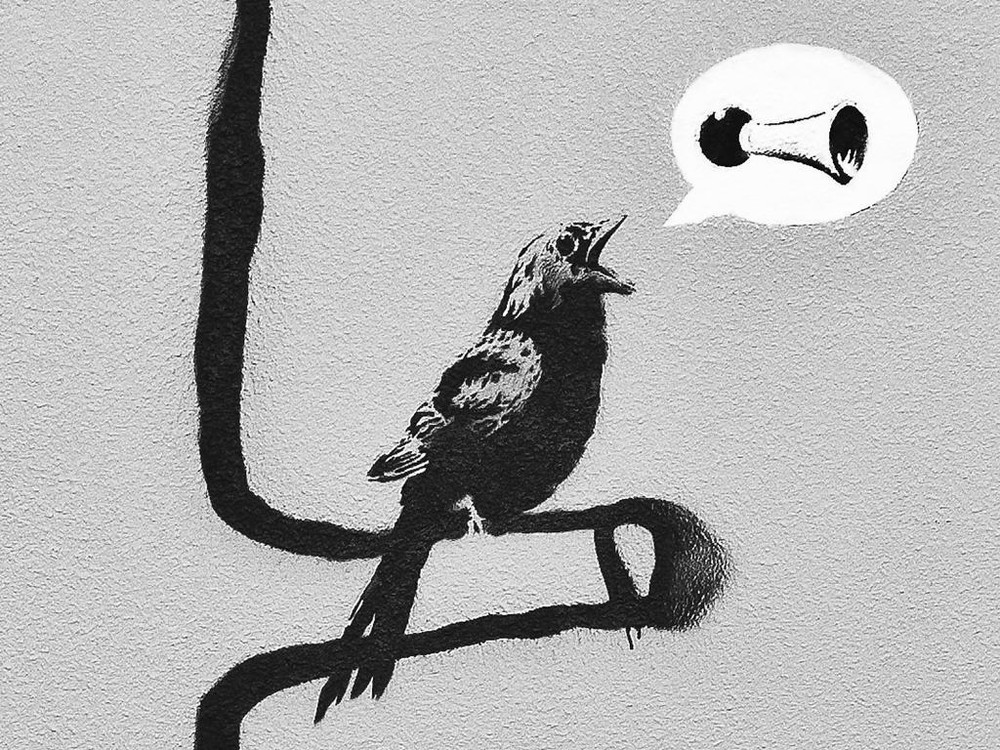 BANKSY STREET ART *FRAMED* CANVAS PRINT Bird singing 24x16