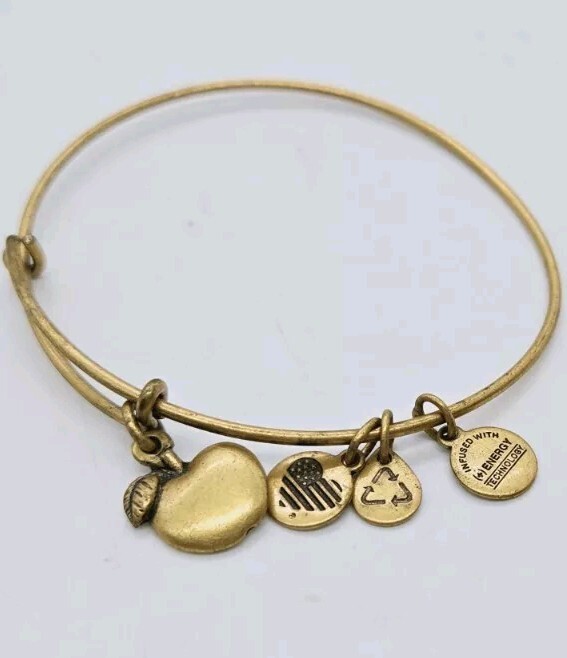 Alex and Ani Charm Bracelet Gold tone APPLE OSFM One Size
