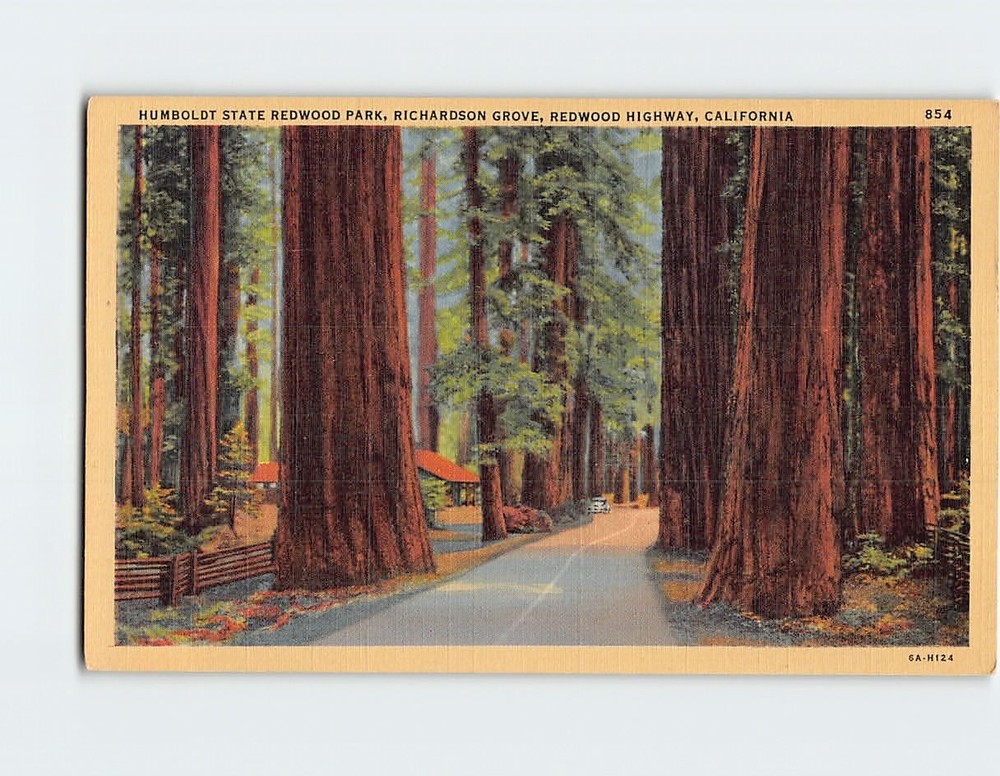 Postcard Humboldt State Redwood Park Richardson Grove Redwood Highway California
