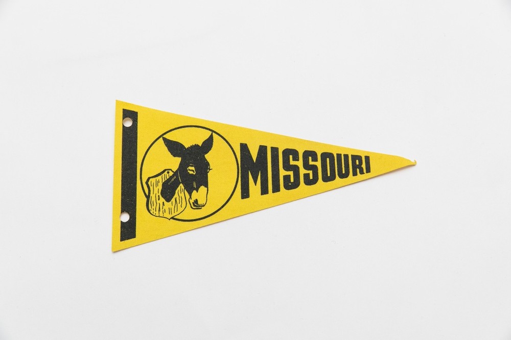 Vintage Missouri Souvenir Mini Felt Pennant 8