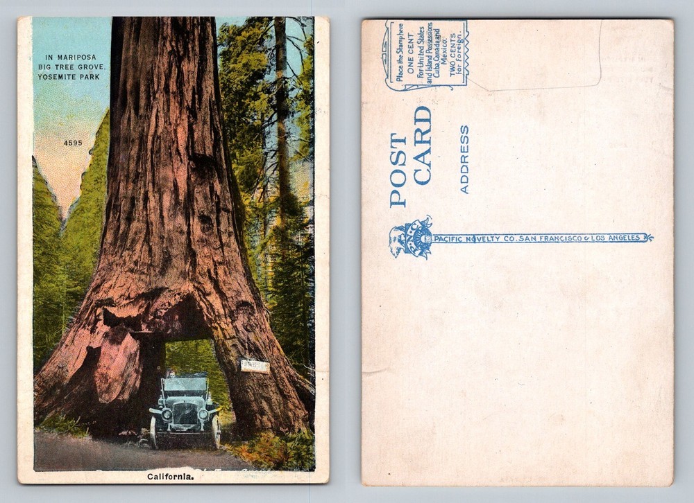 Yosemite CA-California, Big Tree Grove Mariposa Tunnel Drive, Vintage Postcard
