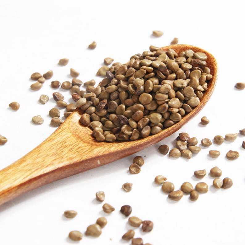 Органический травяной кофе Senna Fructus seu Semen Cassiae Occidentalis отличное качество