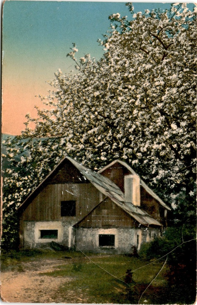 Germany Postcard