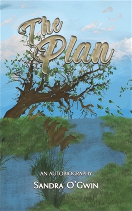 The Plan (Paperback or Softback)