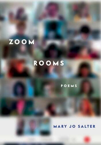 Zoom Rooms: Poems by Mary Jo Salter: Used