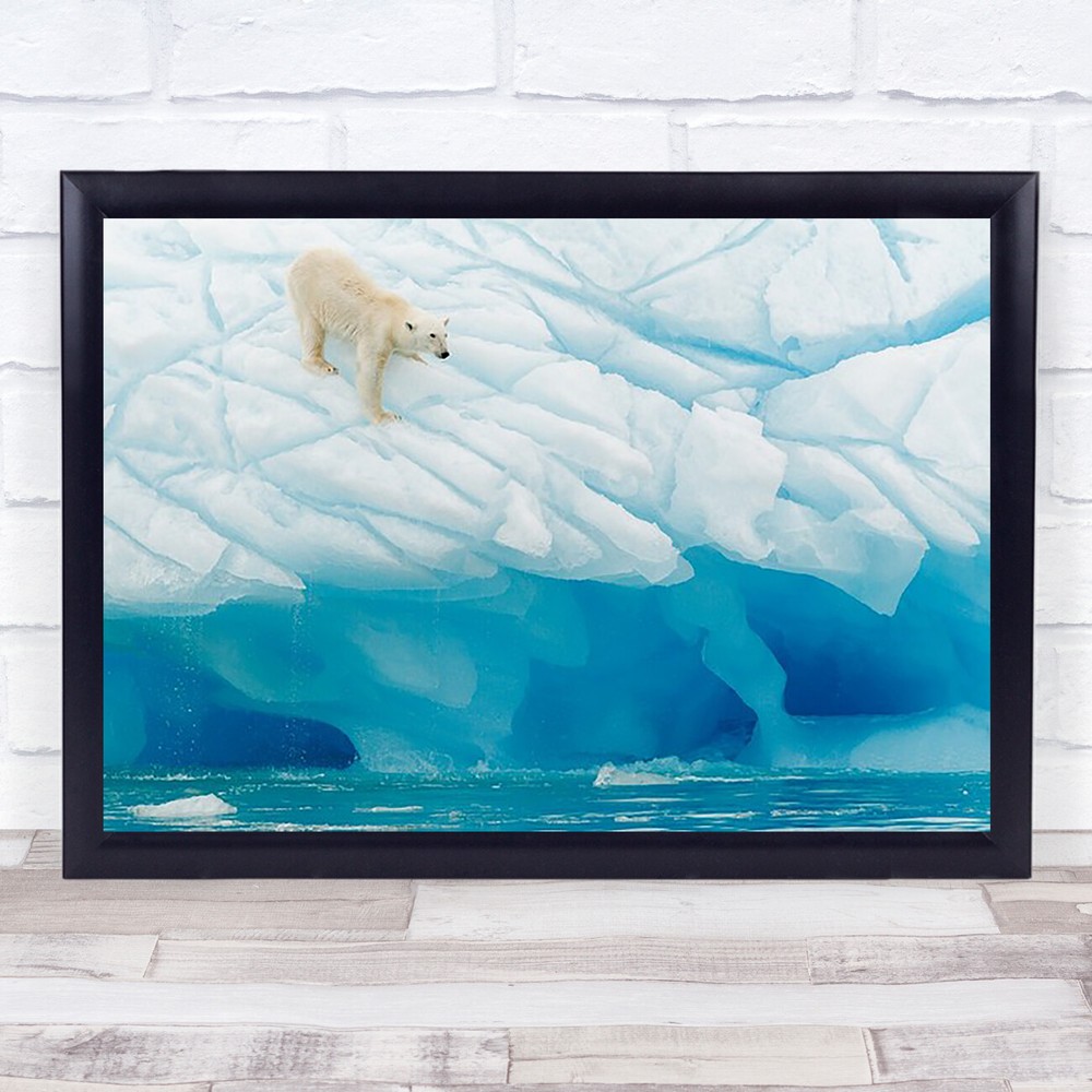 Polar Bear Nature Animal Wildlife Ice Glacier Wall Art Print