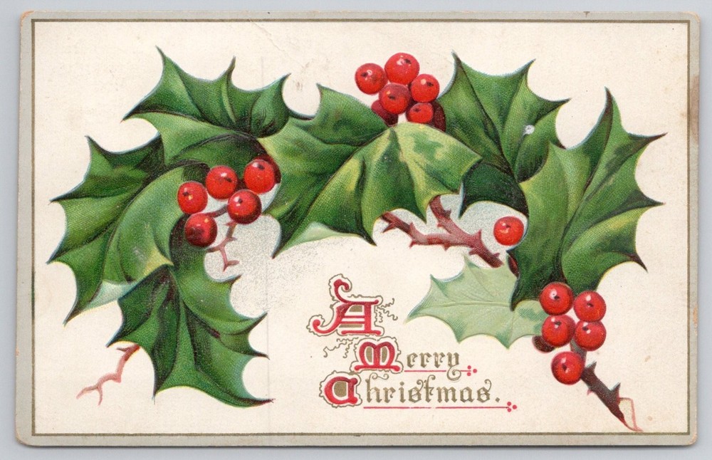 Raphael Tuck Christmas Holly Berries Postcard 1911 Embossed Saxony