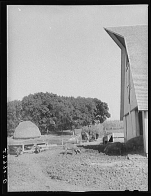 Jasper County,Iowa,IA,Maxwell Farm,FSA,Farm Security Administration,1939