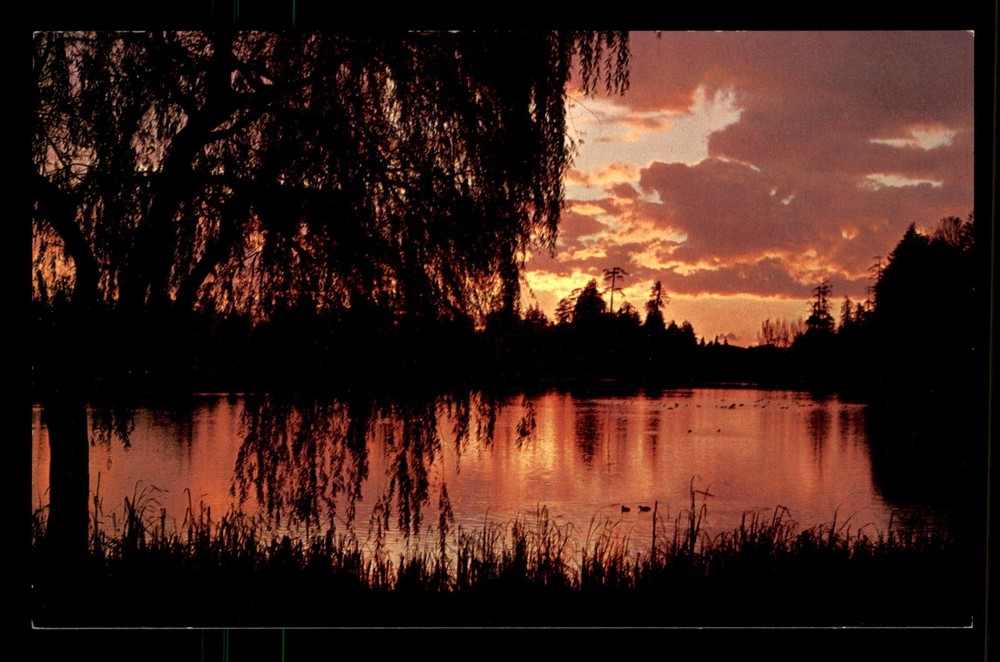 Lost lagoon Stanley Park Vancouver BC Canada Unp Postcard