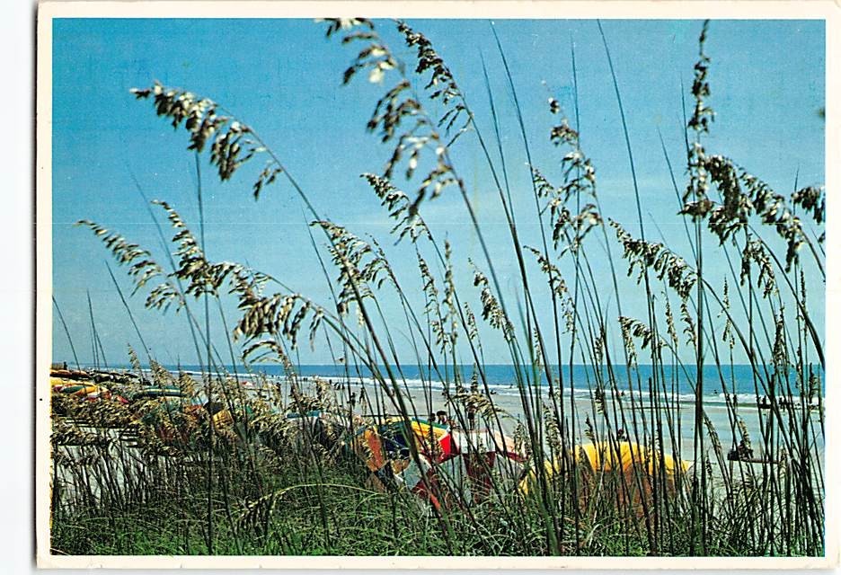 Postcard Beach Scene