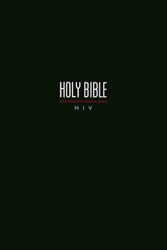 Holy Bible: New International Version, - Paperback, by Anonymous - Acceptable