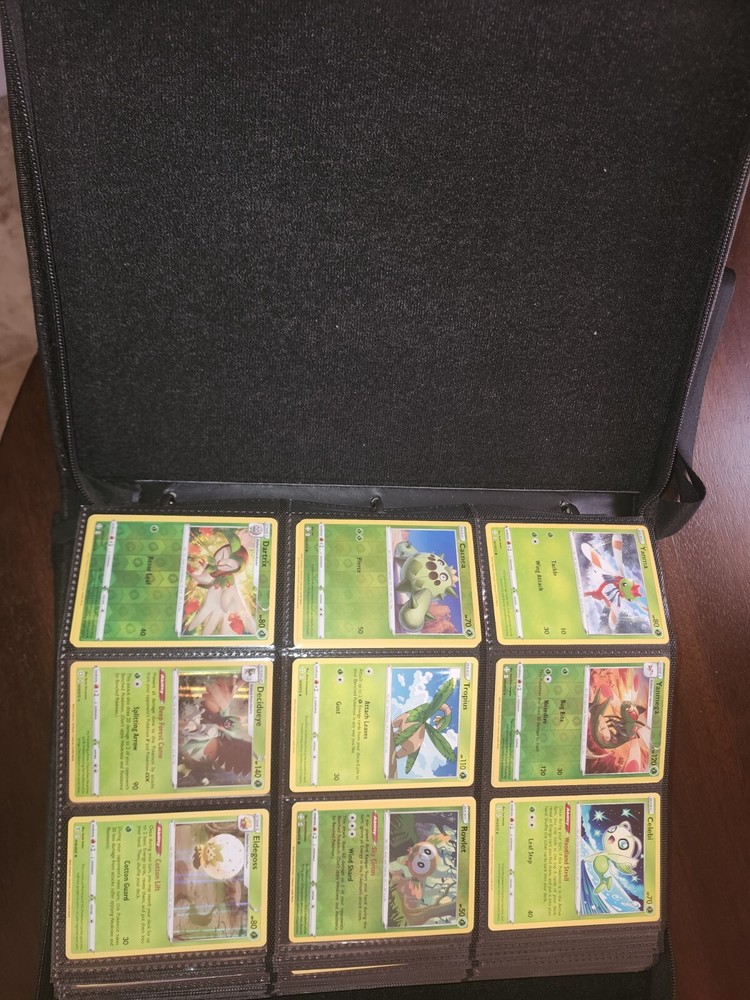 Pokemon Card Binder Collection Lot