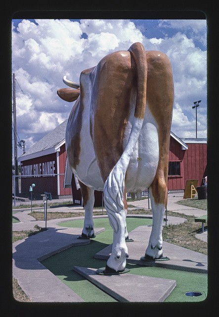 Photo:St. Paul Minnesota 1984 Fairway Golf Giant Cow Back Statue Como Ave