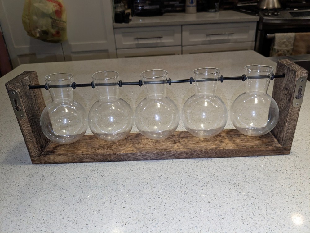 Unbranded 5 Glass Propagation Vase Swivel-Mounted on Wall Hanging Wood Terrarium