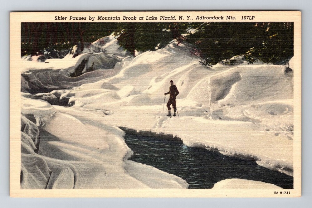 Lake Placid NY-New York, Skier Mountain Brook, Adirondack Mts Vintage Postcard