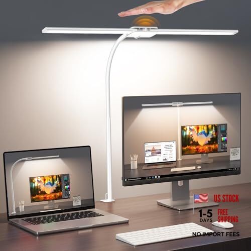 LED Desk Lamp, Double Head Gooseneck Desk Lamps for Home Office with White