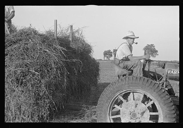 Mechanicsburg Ohio 1938 Harvest Hand Virgil Thaxton Farm Tractor Haying