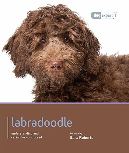 Labradoodle - Dog Expert by Sarah Rogers Book The Fast Free Shipping