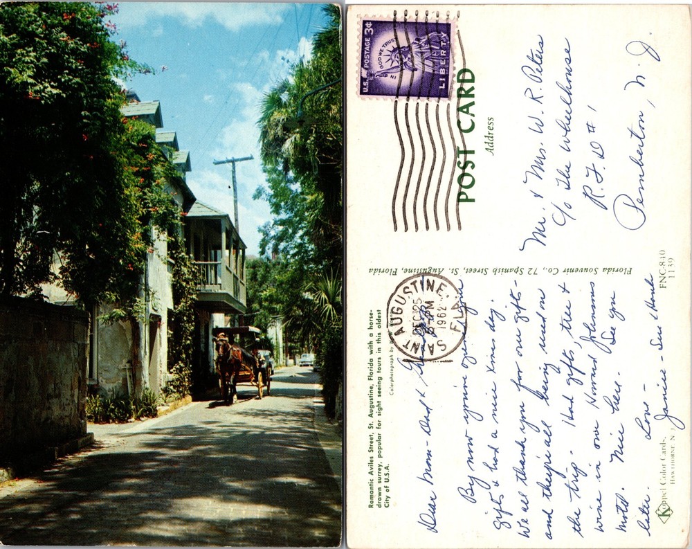 Horse Drawn Carriage Street Scene St Augustine Florida FL Postcard