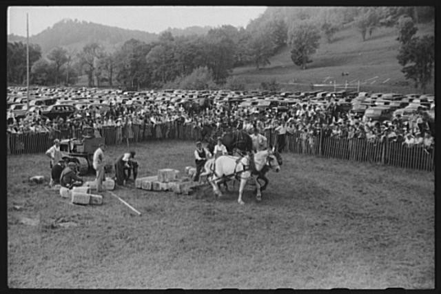 Tunbridge Vermont World�s Fair Horse Weight-Pulling Contest 1941 Crowd