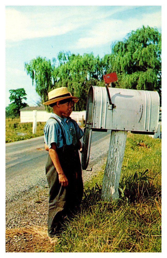 Lancaster PA Pennsylvania Greetings From Amish Boys Mailbox Chrome Postcard