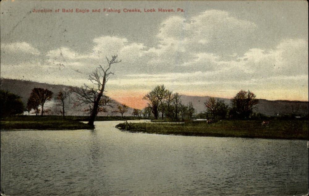 Junction Bald Eagle Fishing Creeks Lock Haven Pennsylvania vintage postcard e123