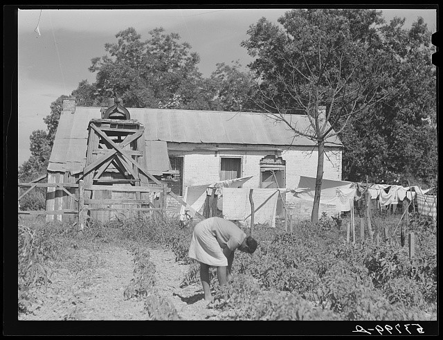 Photo:Thomastown Louisiana 1940 Plantation Slave Quarters Laundry Scene