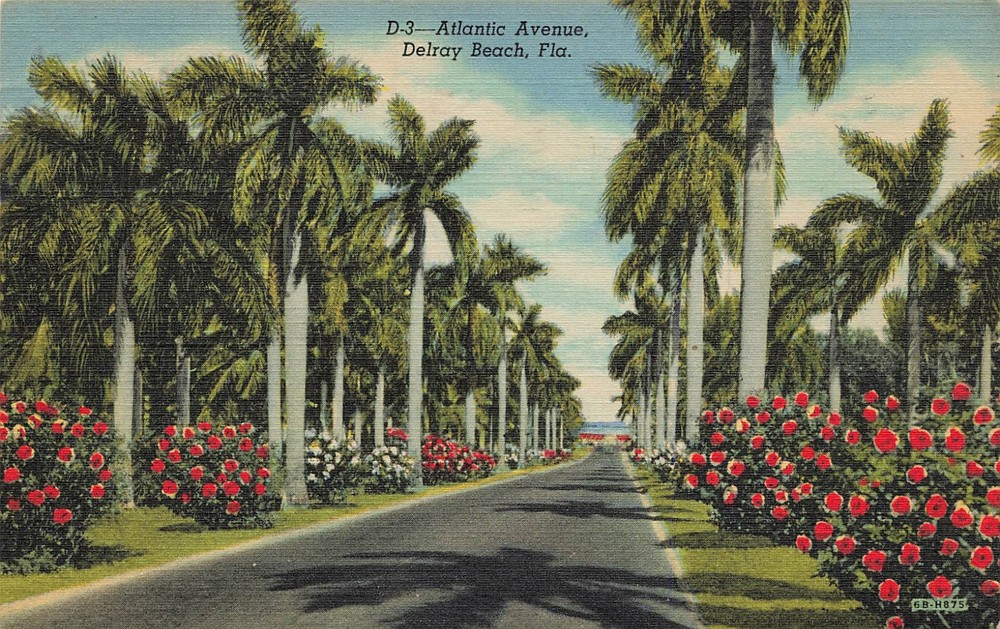 ATLANTIC AVENUE WITH PALM TREES & ROSES POSTCARD DELRAY BEACH FL FLORIDA 1940s