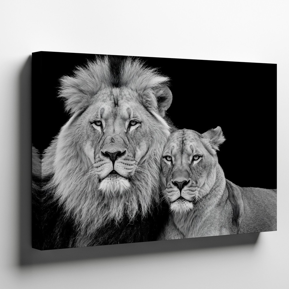 In This Striking Black And White Image, Two Majestic Lions Command Wall Art