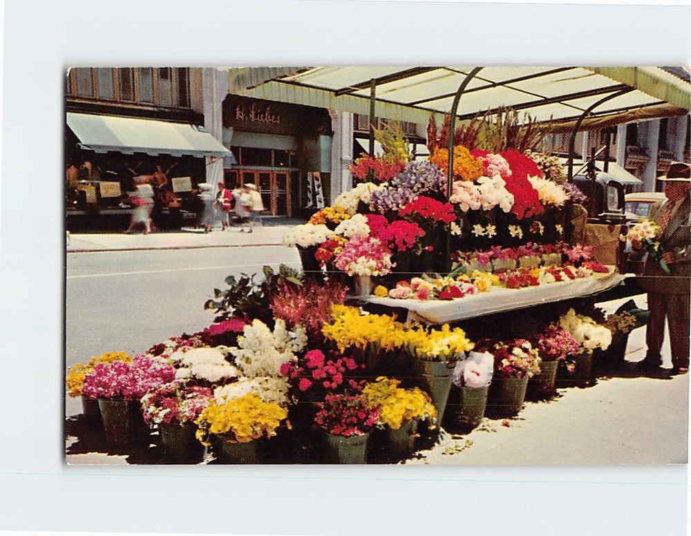 Postcard Sidewalk Flower Stands San Francisco California USA