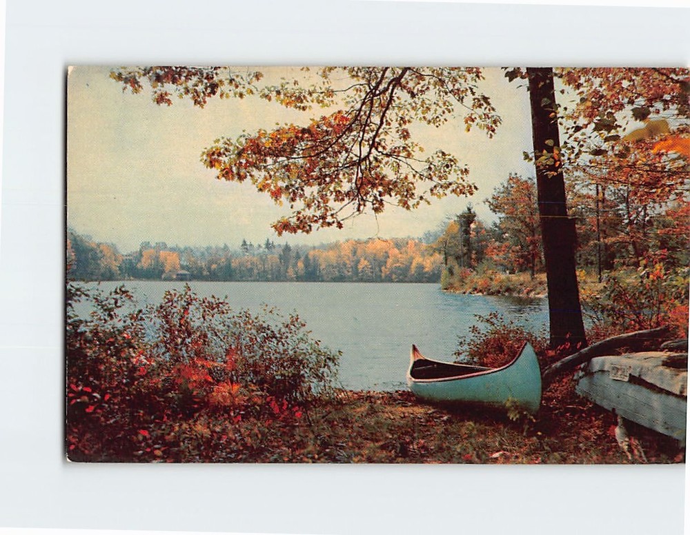 Postcard Autumn Lake Scene Greetings from Hill New Hampshire USA