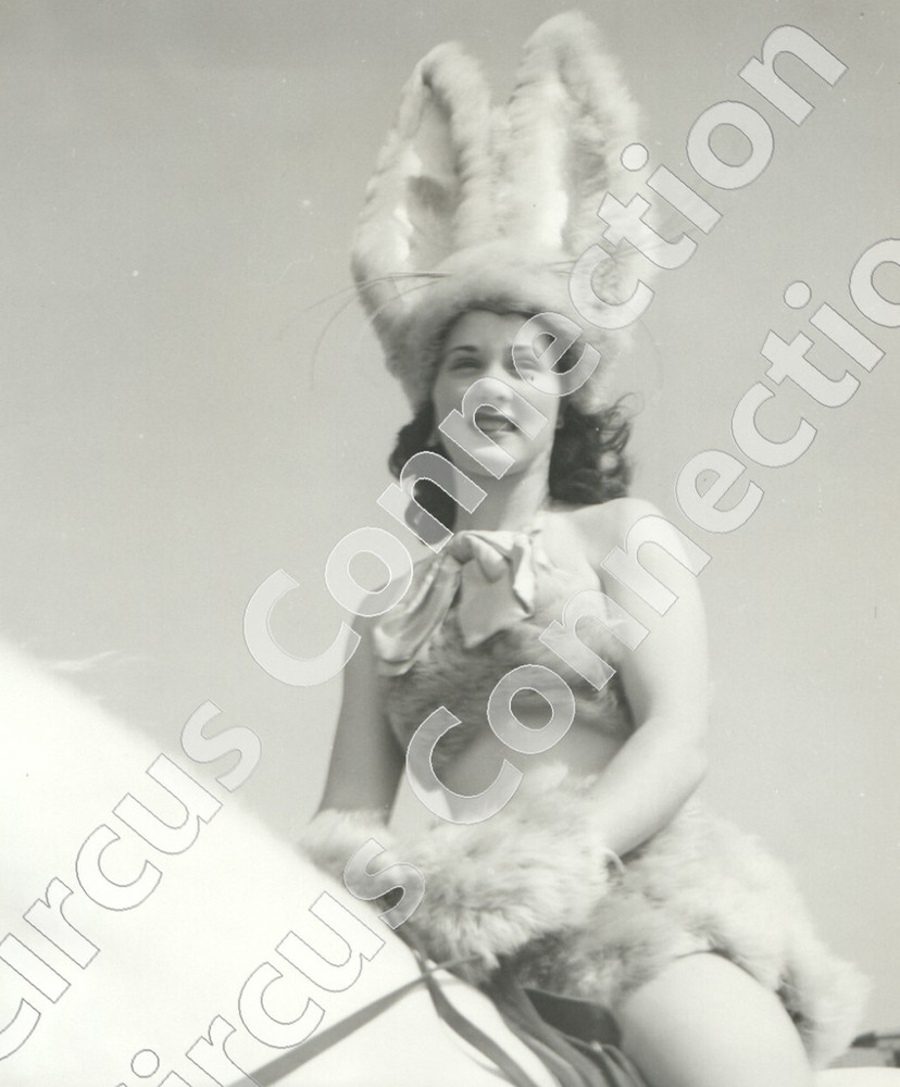 Mid Century Ringling Bros? Circus Showgirl Bunny on Horse Photograph 8