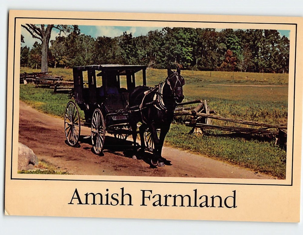 Postcard Horse & Buggy Amish Farmland Northern Indiana USA