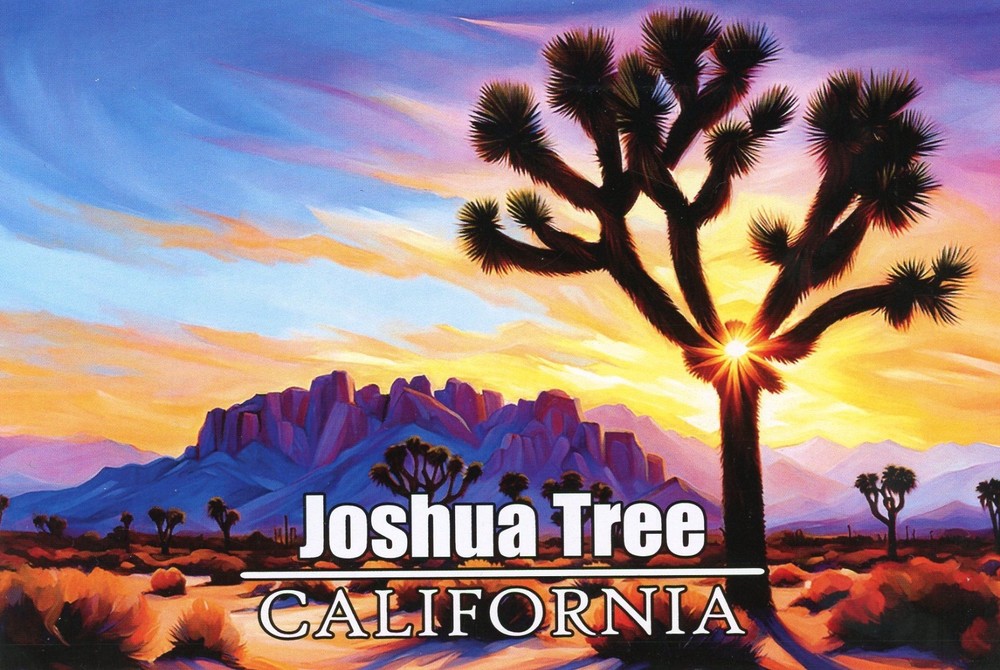 Joshua Tree National Park, Near Twentynine Palms, California --New POSTCARD