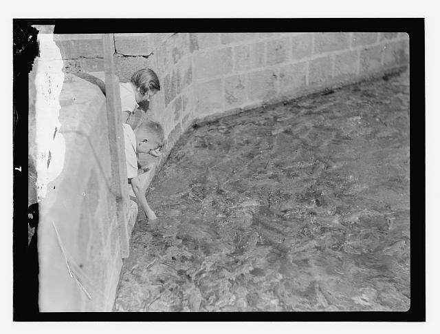 Tripoli Lebanon 1920s Children Feeding Fish at Sacred Shrine El-Bedoui-Nerili