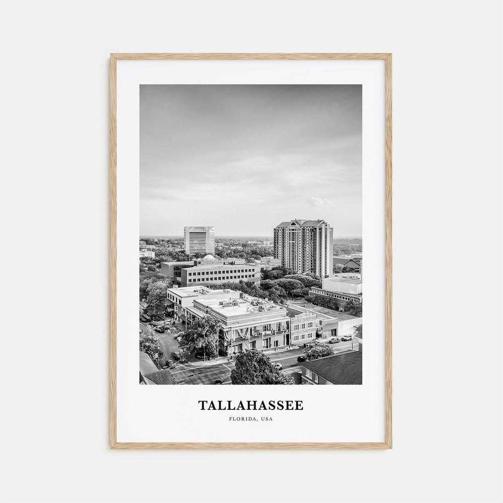 Tallahassee Wall Art Tallahassee Wall Decor Tallahassee Poster Tallahassee Home