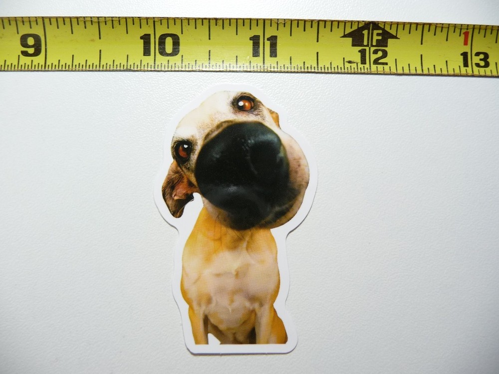 Funny Big-Nosed Dog Decal Sticker for Pets and Play