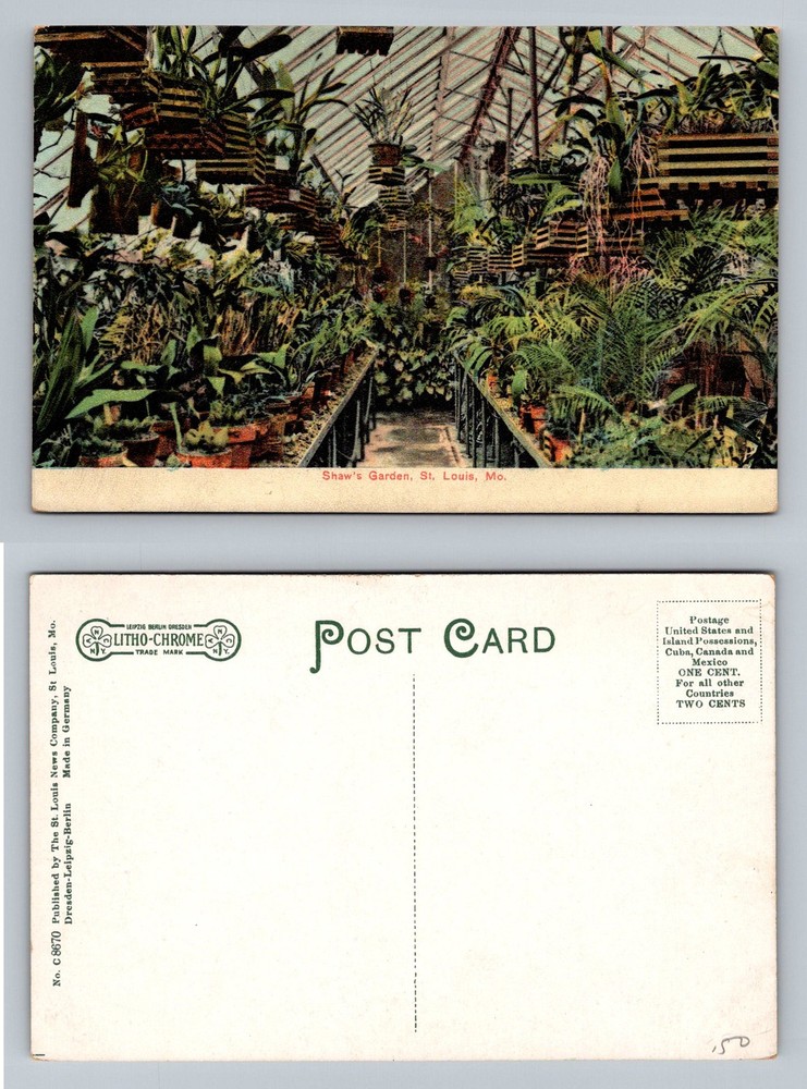St Louis, MO-Missouri, Shaw's Garden Conservatory Interior Vintage Postcard
