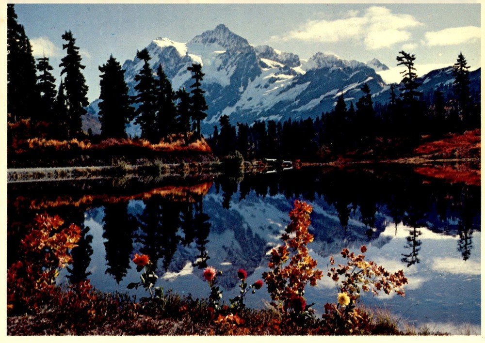 Mount Shuksan and Picture Lake, Washington Postcard