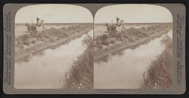 Texas 1905 Rice Hauling to Thresher Canal Flood Irrigation Stereoview