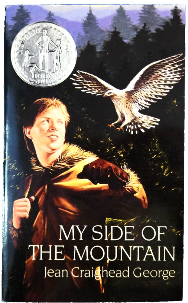 My Side Of The Mountain: By Jean Craighead George Paperback Free Shipping Book