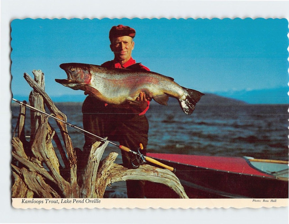 Postcard Kamloops Trout Lake Pend Oreille Idaho USA