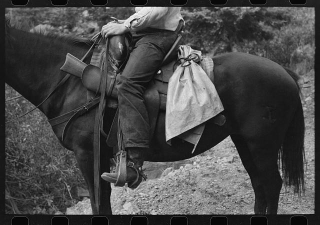 Sheepherder,Ouray County,Colorado,CO,Farm Security Administration,FSA,1940,8