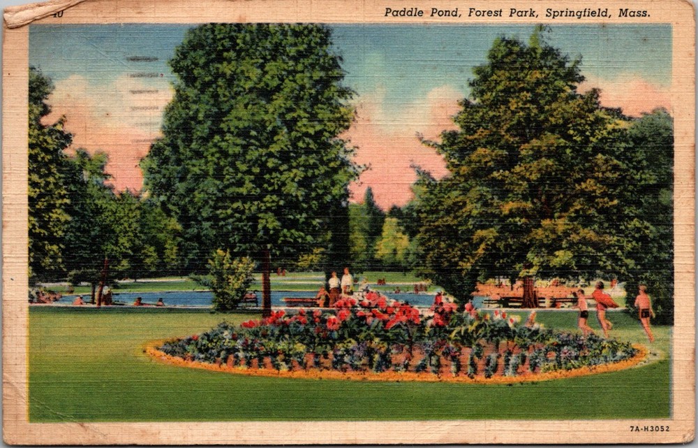 Paddle Pond Forest Park Springfield Massachusetts MA Postcard