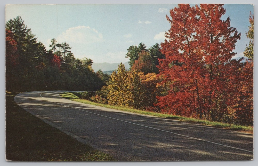 State View~Blue Ridge Parkway Mountains NC~Vintage Postcard