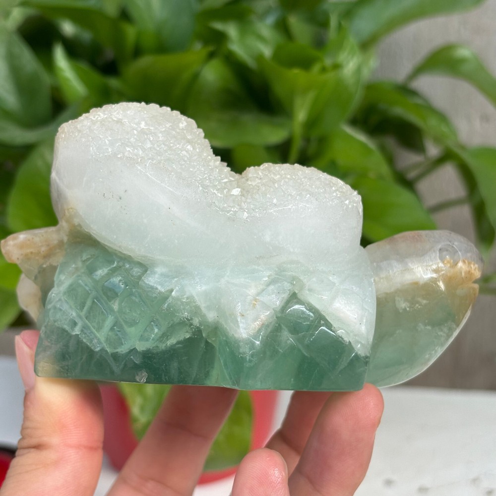 720g Natural Fluorite Crystal original stone hand carved Tortoise