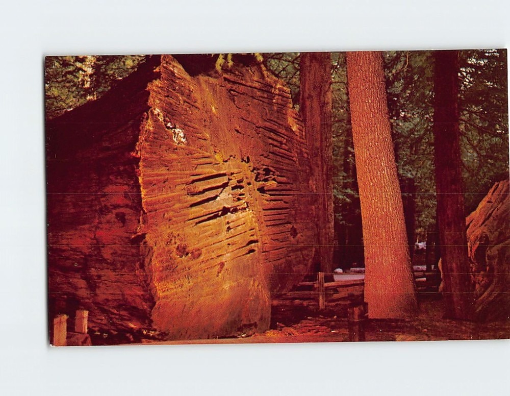 Postcard Calaveras Big Trees State Park California USA